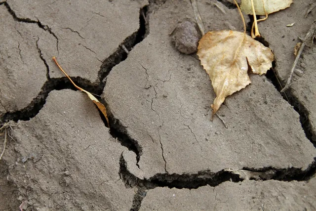 The Lost Continents Conspiracy: the truth behind the legend