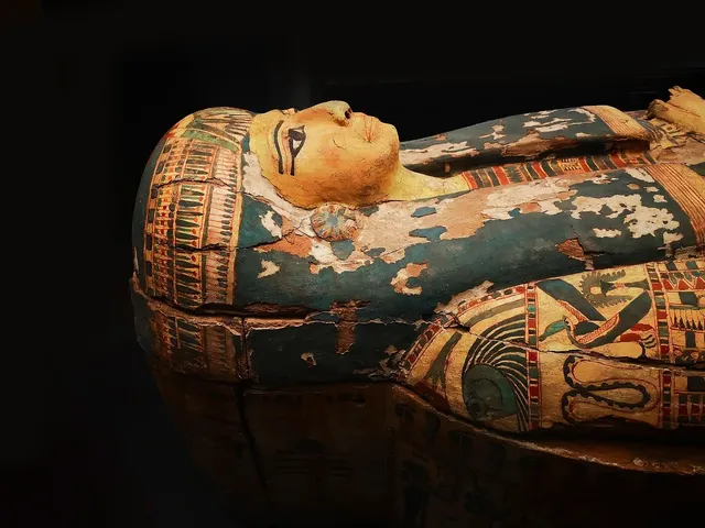 Svetlana Balabanova’s drug mummies and Egyptian transoceanic travel