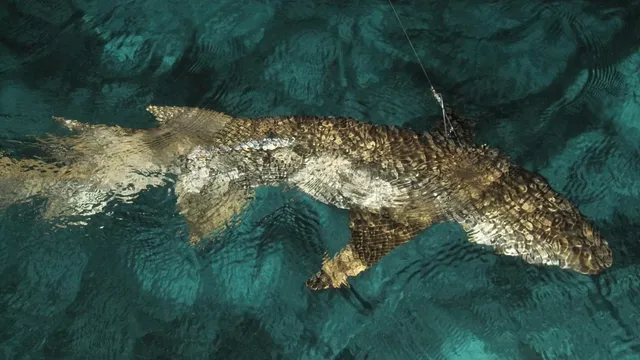 Mossad mind-controlled sharks
