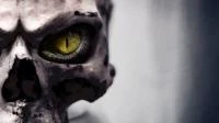 The Reptilian Hypotesis