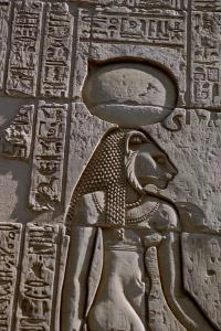 Feline Extraterrestrials & Cat People