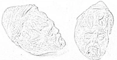 Tecaxic-Calixtlahuaca head and Pre-Columbian Contact theory