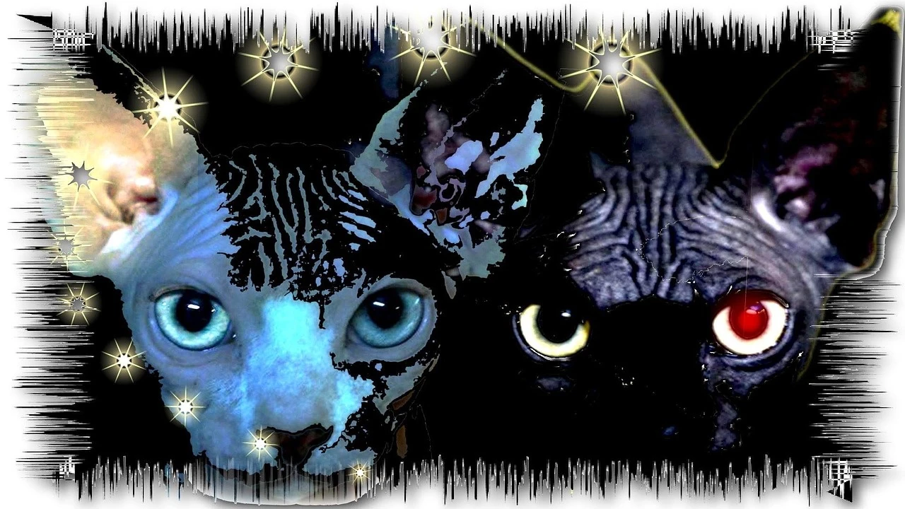 Cats are alien spies