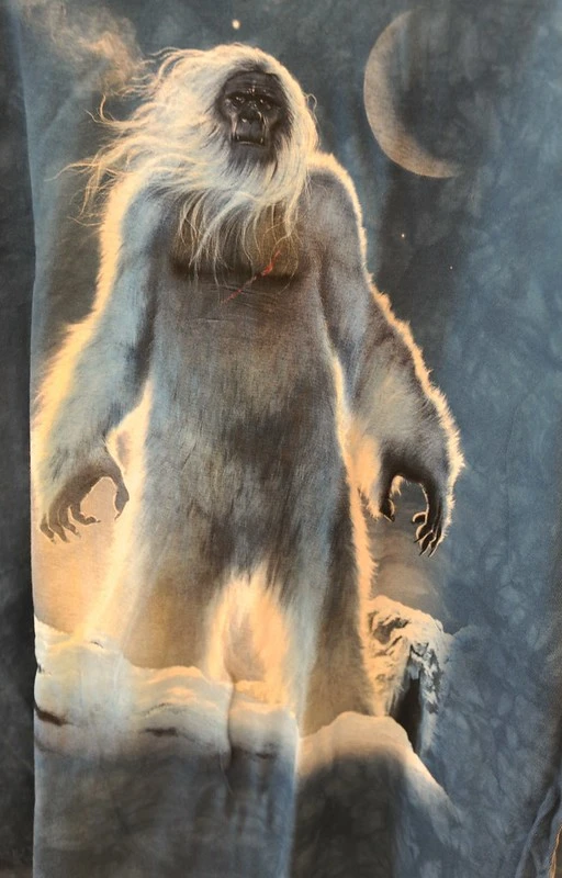 From Sasquatch to Bigfoot
