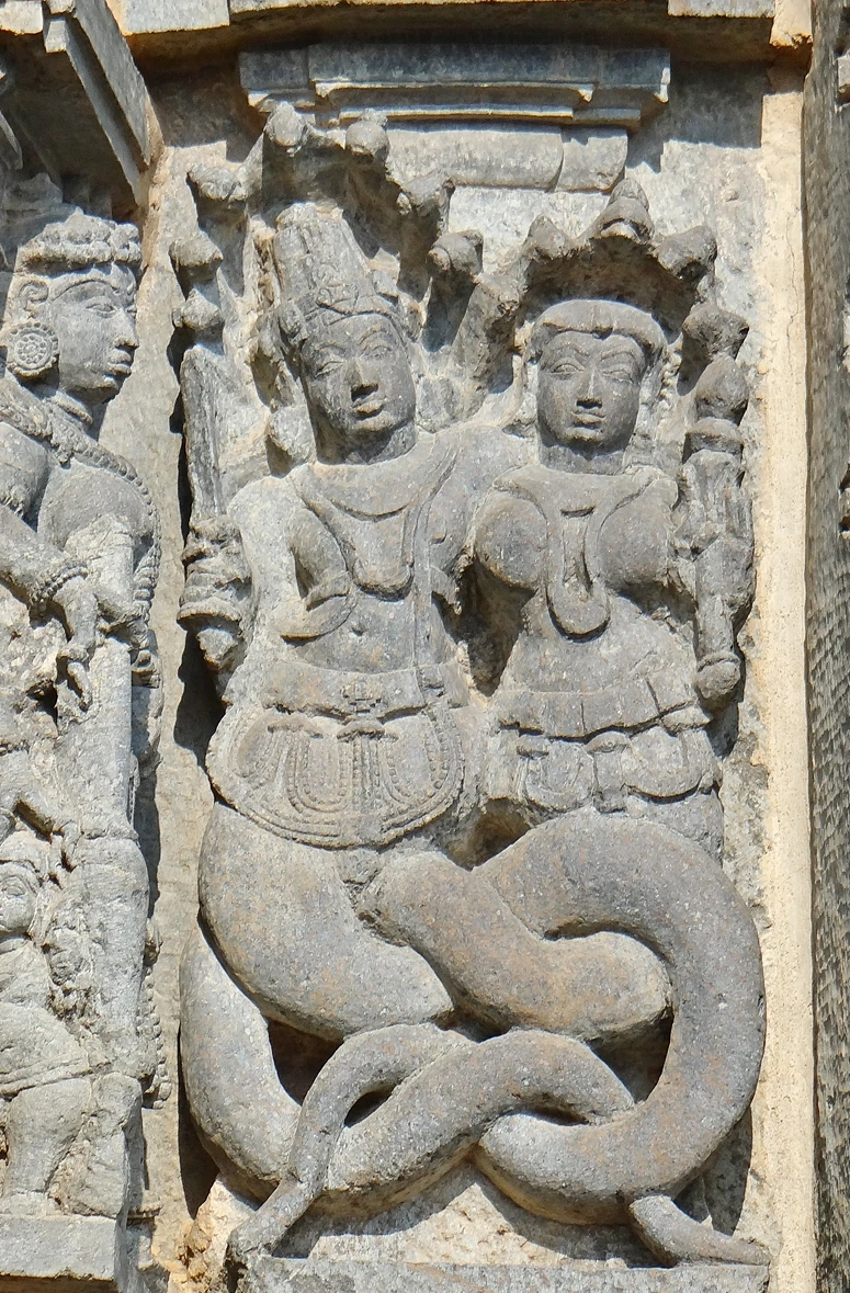 Through the coils of the Serpent-Men: The Nagas