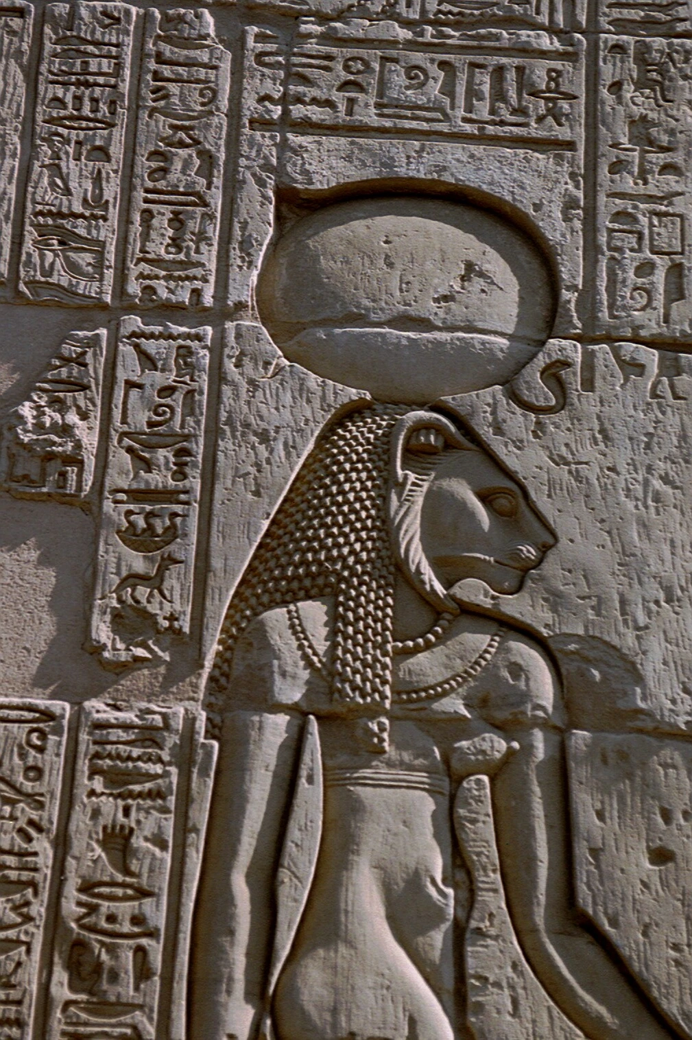 Feline Extraterrestrials & Cat People