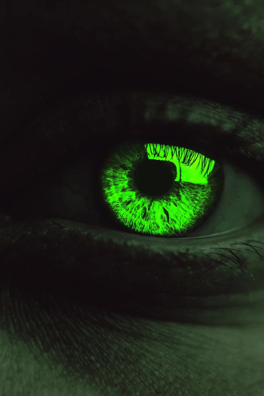 Interview with the Reptilian: the Lacerta files