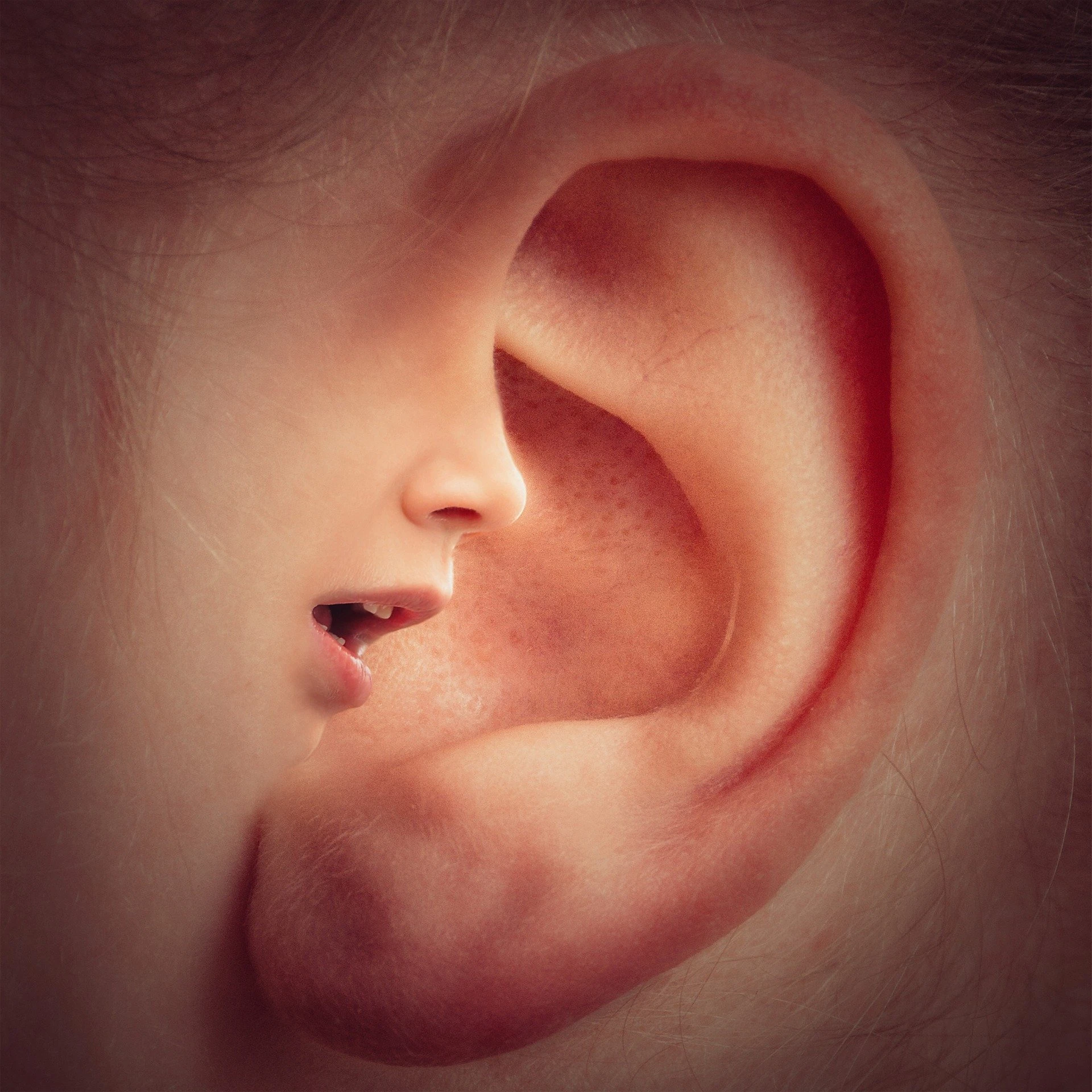 The Silent Mind Control: Direct Energy Weapons or Psychotronic Weapons-Inner_Mind_Voices