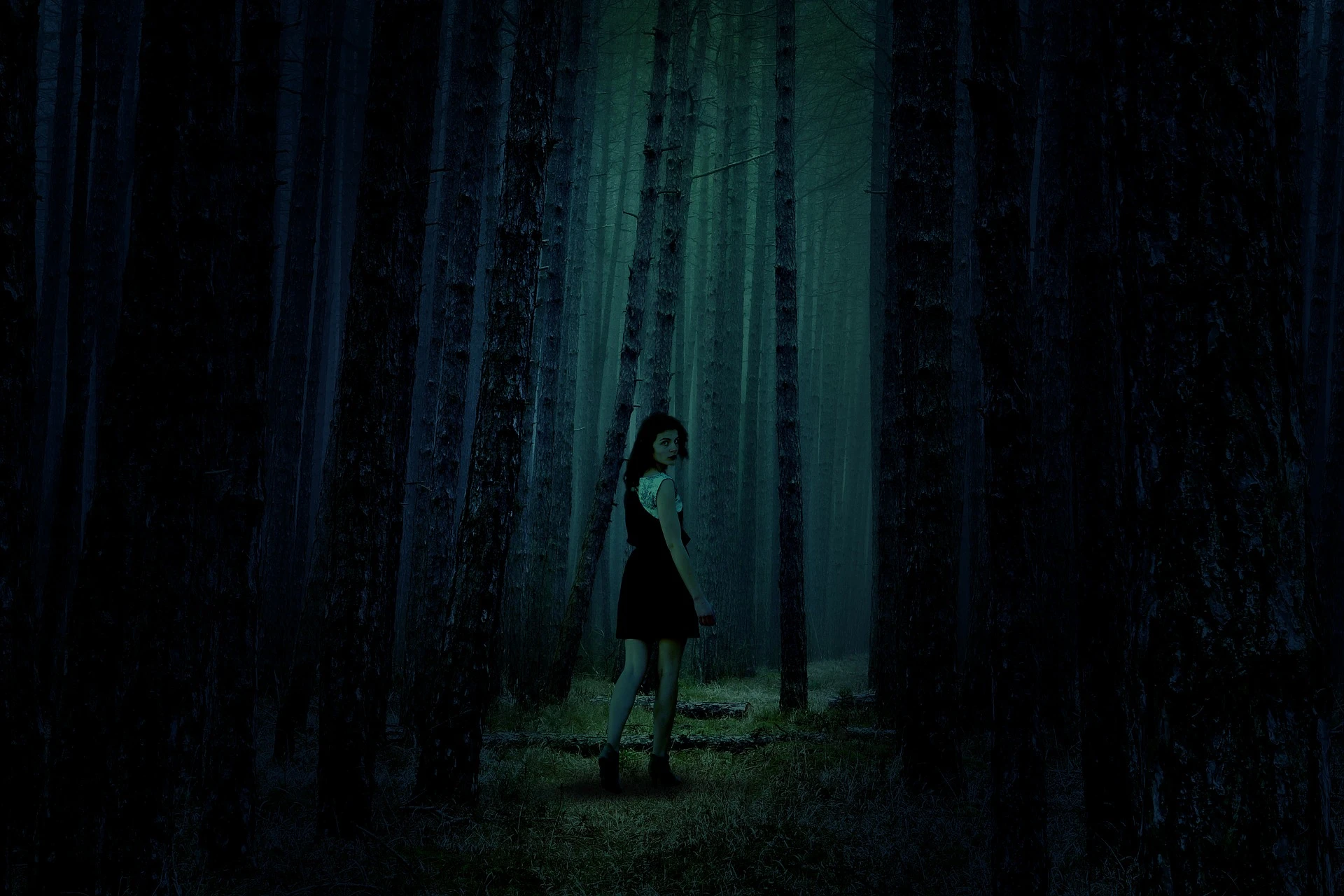 Lillian Carney- Disappeared in the woods