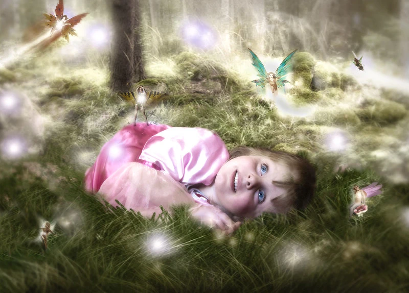 Lillian Carney-Fairy World