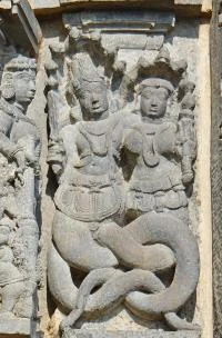 Through the coils of the Serpent-Men: The Nagas